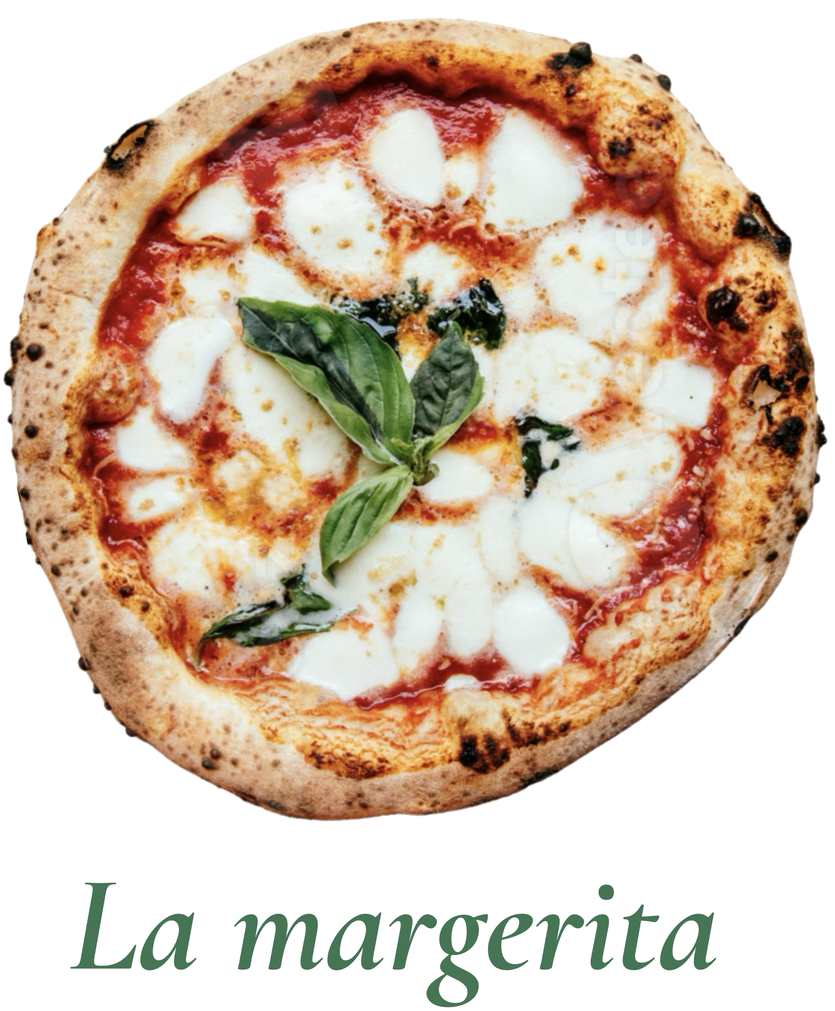 Pizza Mona 2